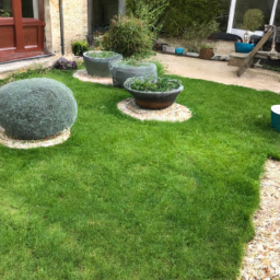 Techniques de taille pour maintenir un jardin esthétique et en bonne santé Pontoise